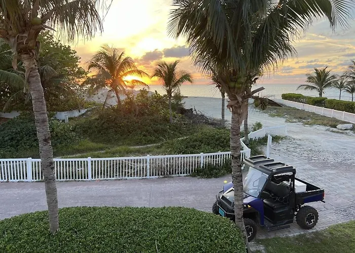Bimini Bay Resort & Marina Parrot-Dice!